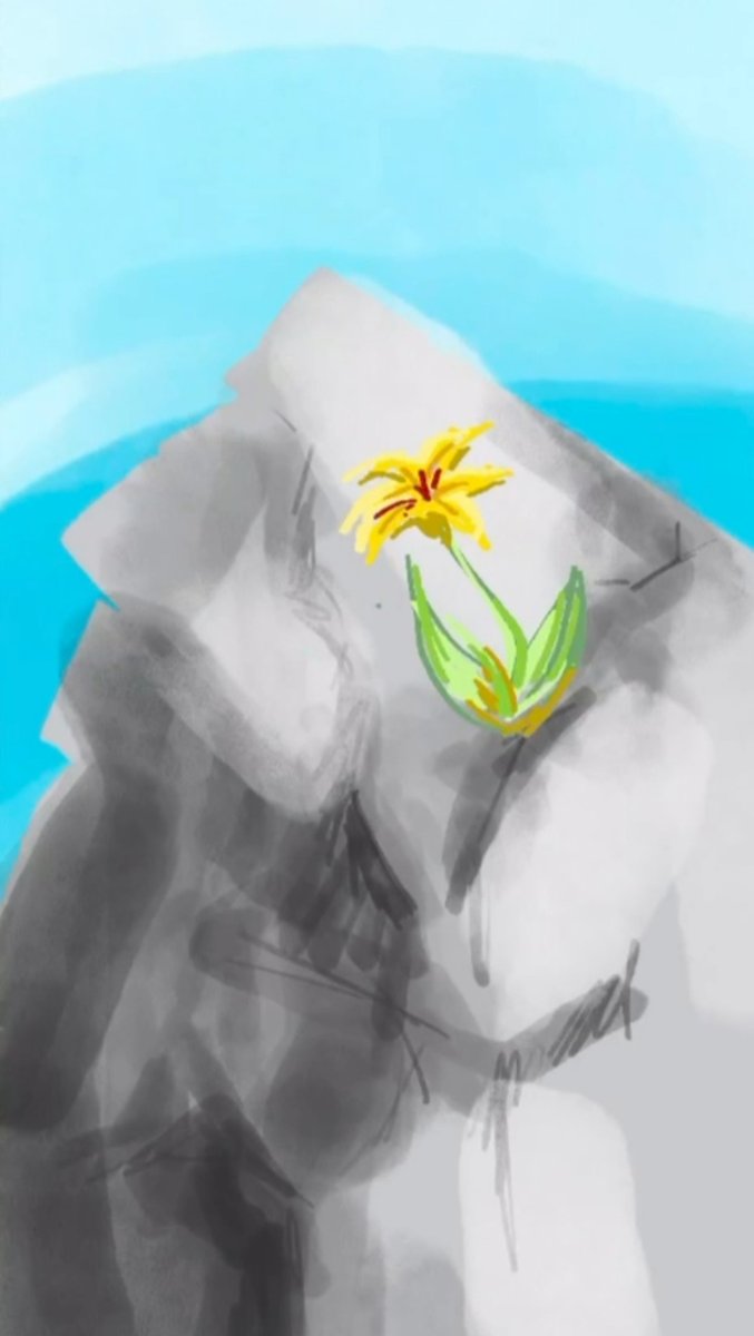 A flower breaking through the rocks