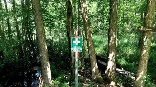 Kontynuujemy naszą drogę duchowości Franciszka Blachnickiego 

Dziś Źródło Mara - Maryja Źródłem Światła i Życia

Zapraszam