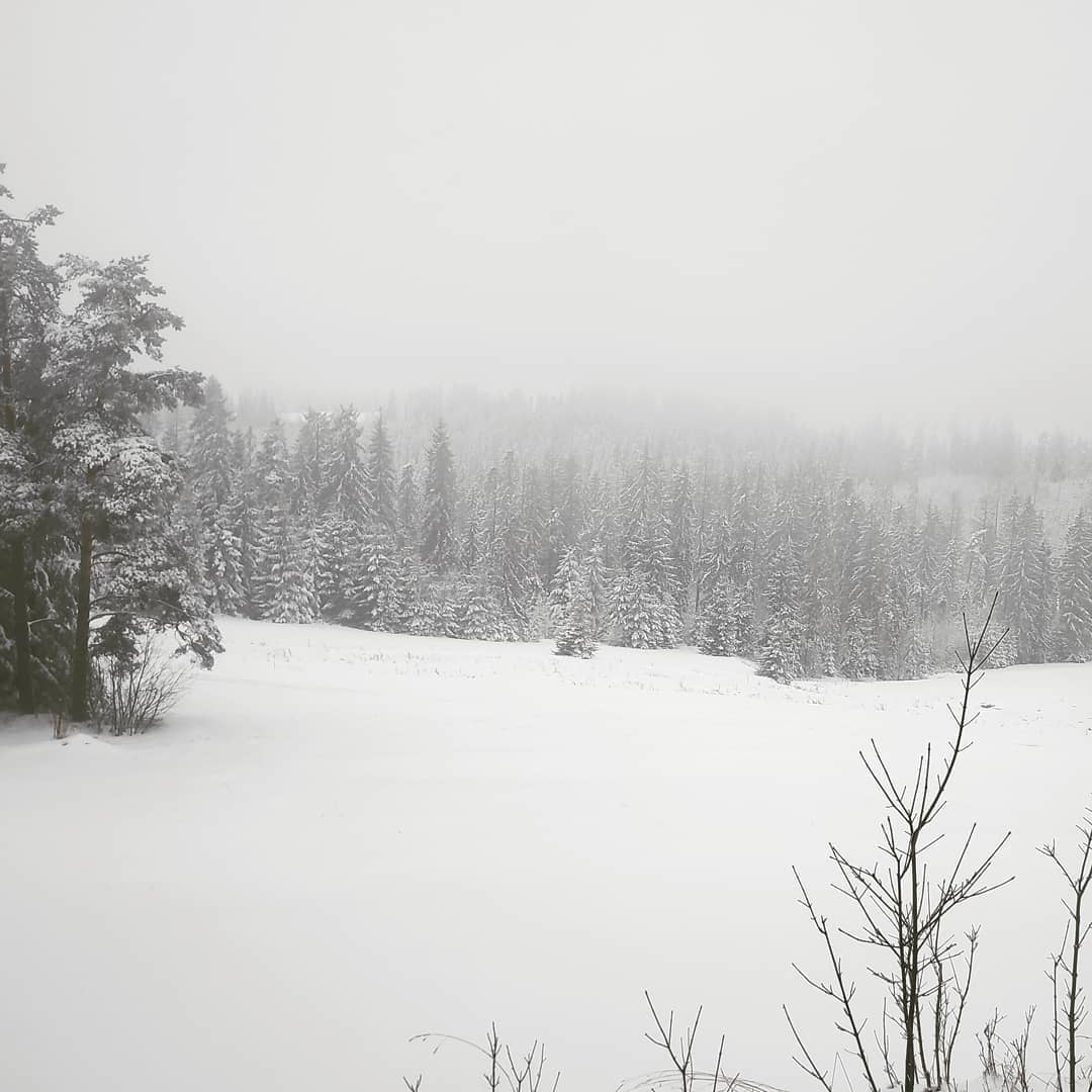 I'm dreaming of a white Christmas... Octave!😎 Nie było śniegu…