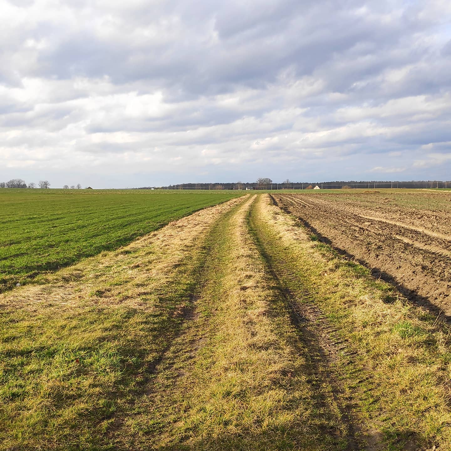 W tym czasie niepokoju Boża Opatrzność dała mi piękny dar…