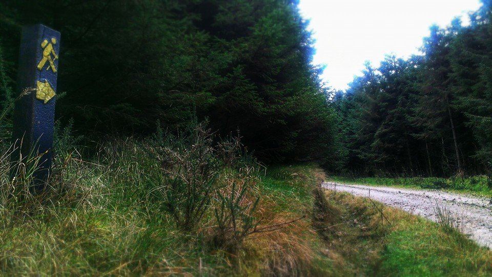 Exploring next stage of the Wicklow Way. -- Dziś w Irlandii…