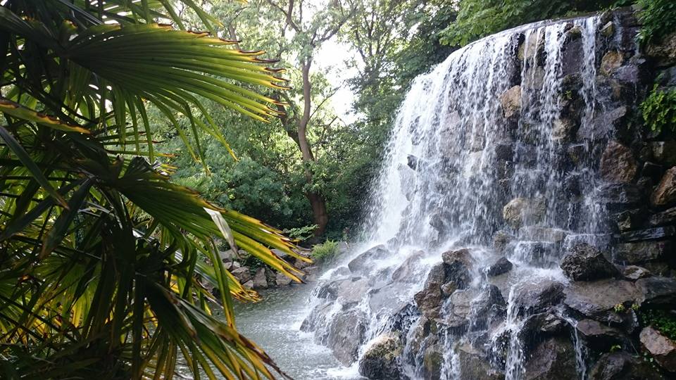 Iveagh Gardens - Dublin's best-kept secret :) Dublin ma swoje…