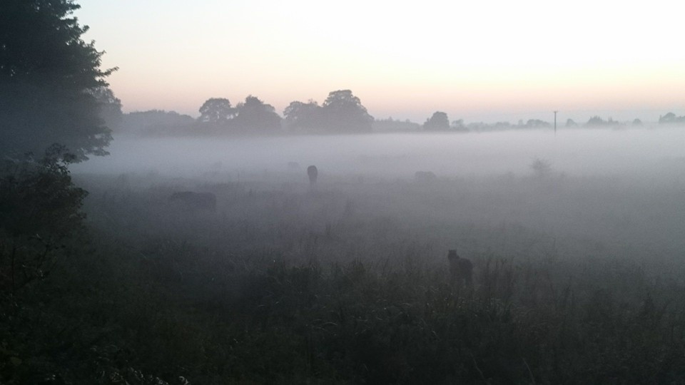 A little bit foggy :) Mgliście to widzę :)