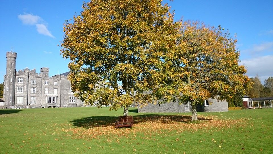 Colours of Autumn :) Jesienne barwy :)