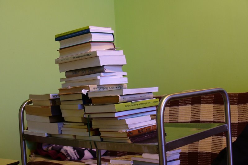 Dziś lwia część książek służych do pracy mgr. została…