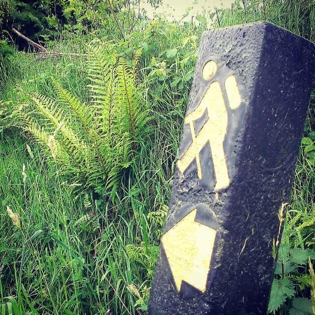 Wracamy na szlak kontynuując zdobywanie #WicklowWay is…