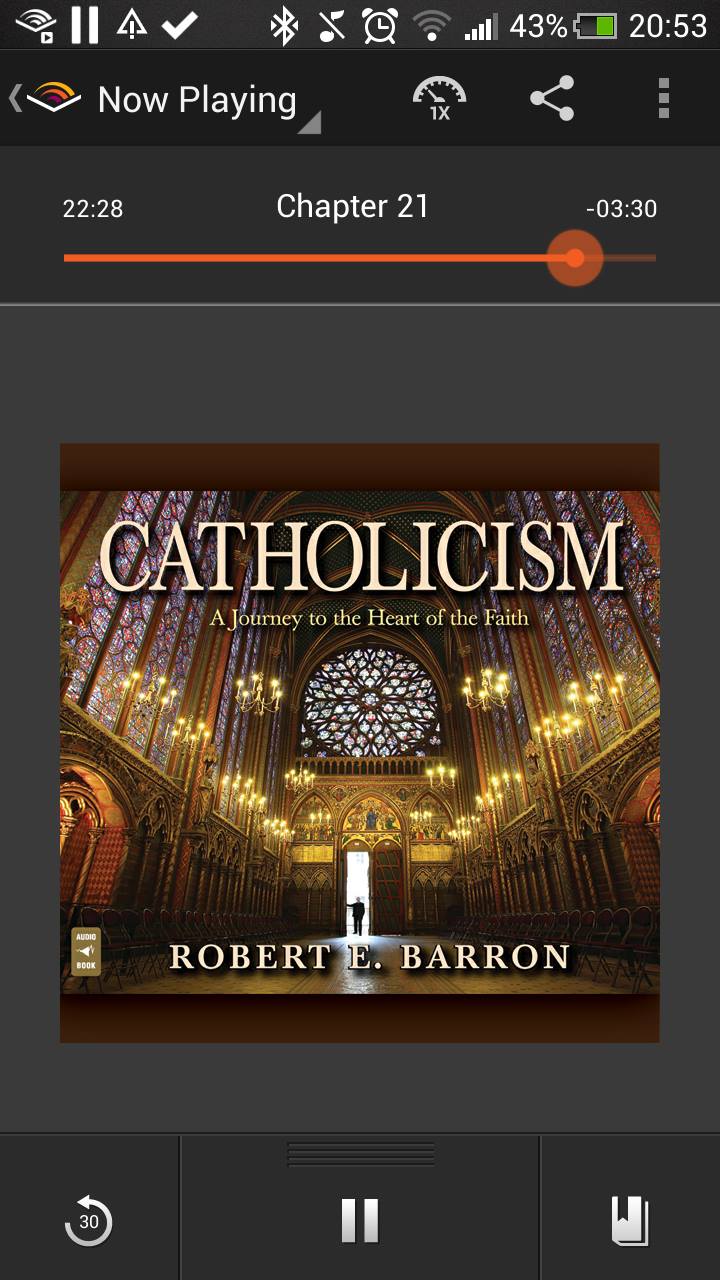 Finally I got trough the book by Father Robert Barron, really recommend it to those  who watched 