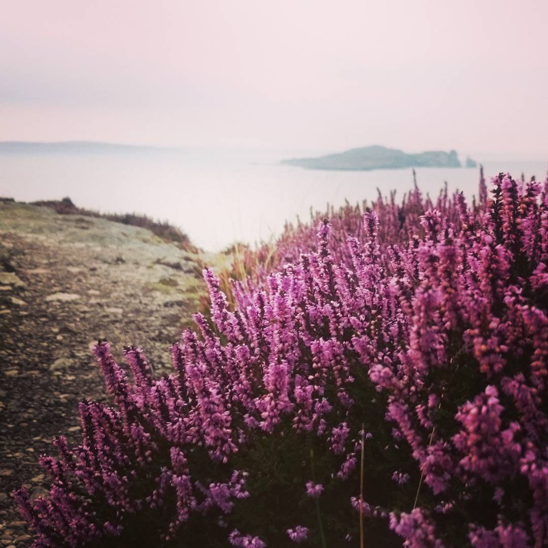 I love those quiet evenings without tourists in Howth :)…