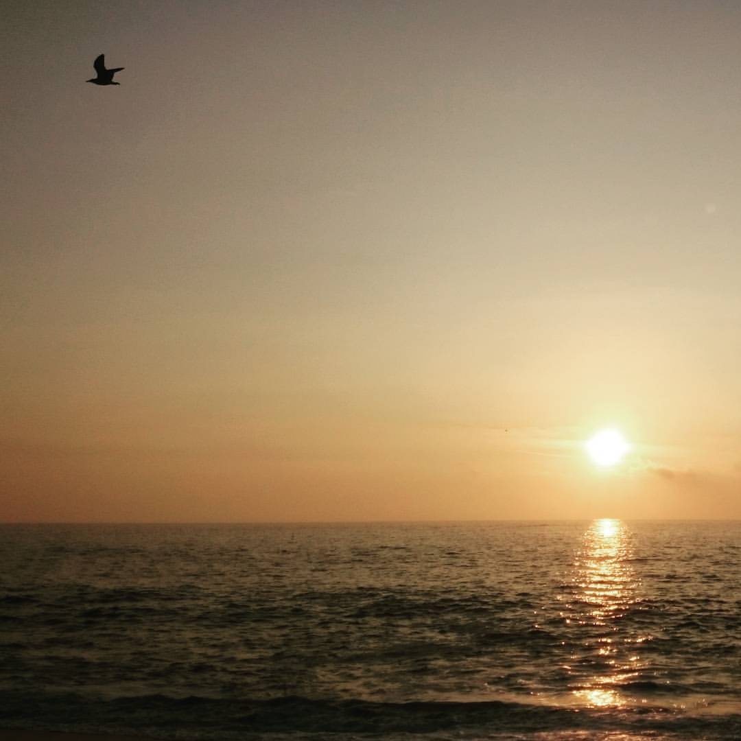 Every #sunset brings me a lot of #peace :) This one is…