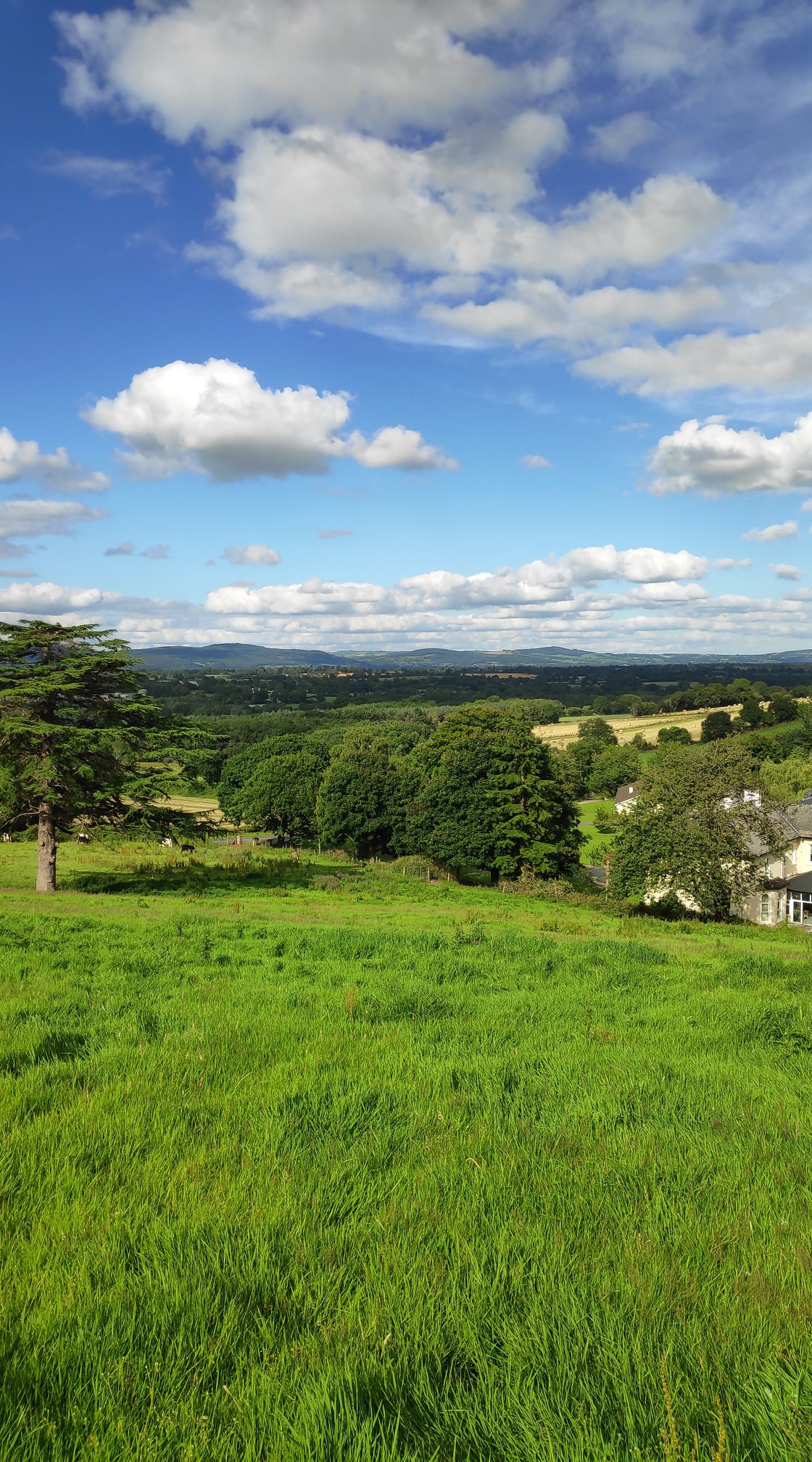 Jak to mówią, ta część wyspy to "sunny side of Ireland" i tak rzeczywiście było. Gdy w Donamon lało i lało, tutaj słońce