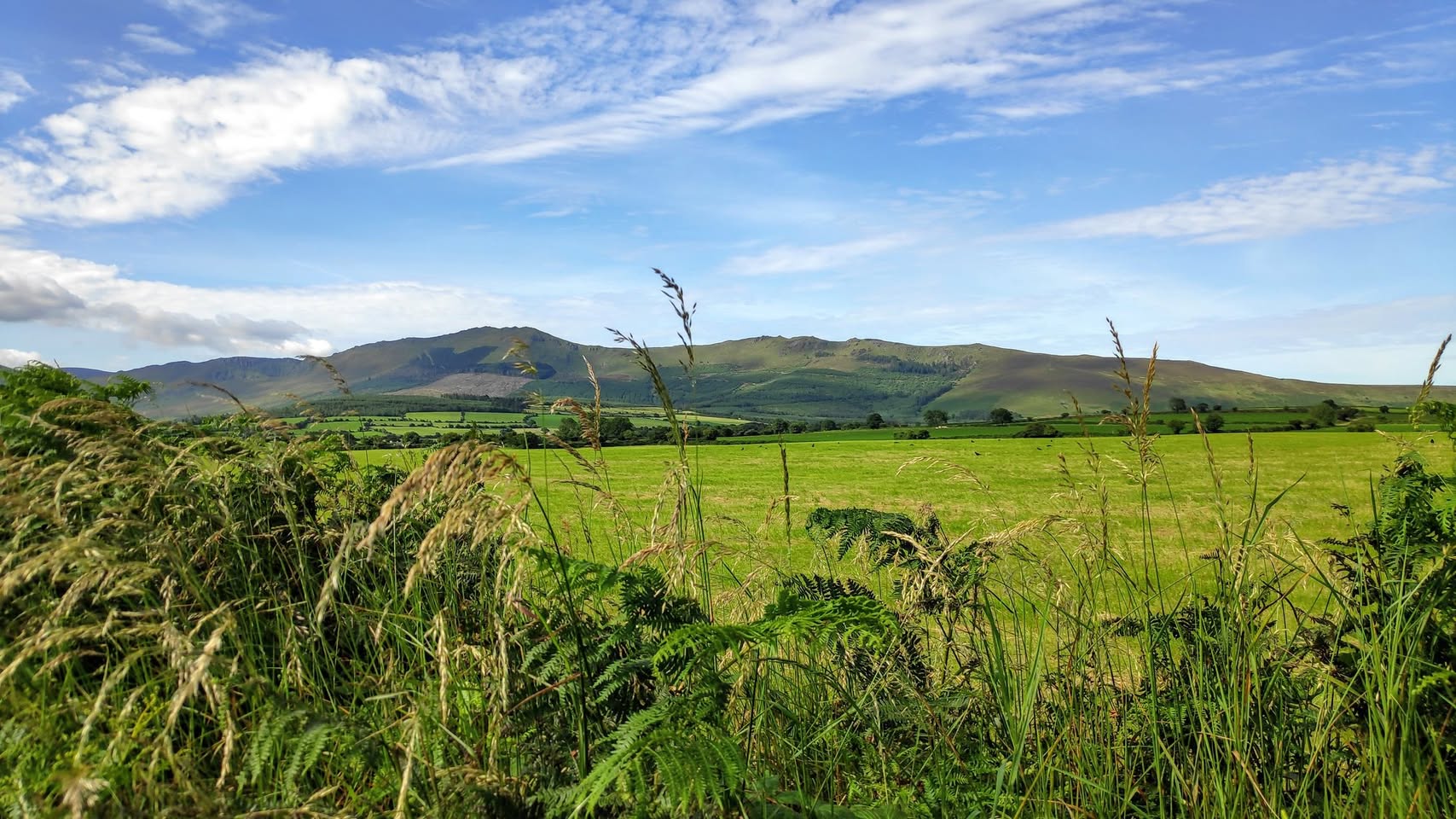 Ireland's beauty, part 2 :)