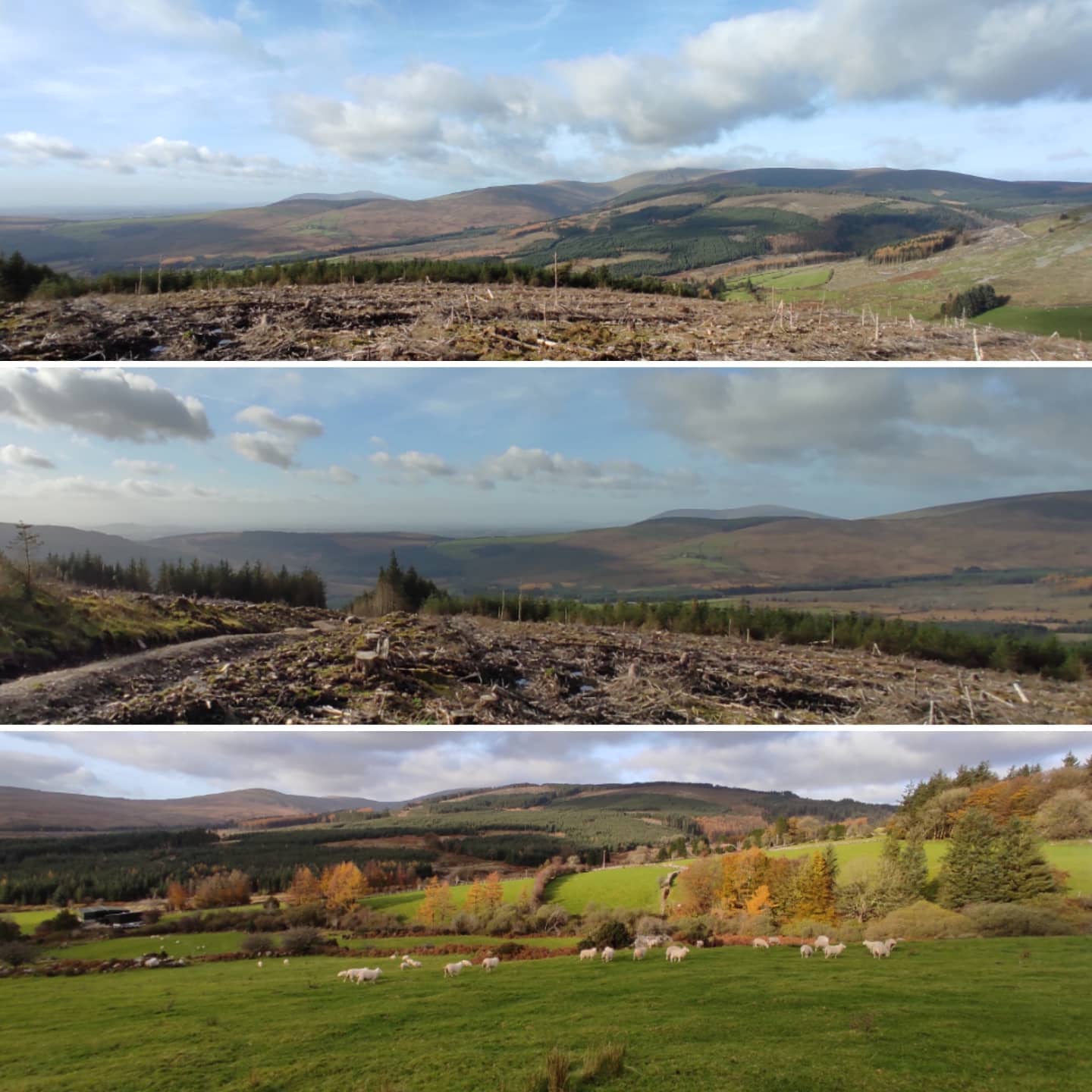 Dzisiejszy odcinek zakończony i góry Wicklow będą czekały na…