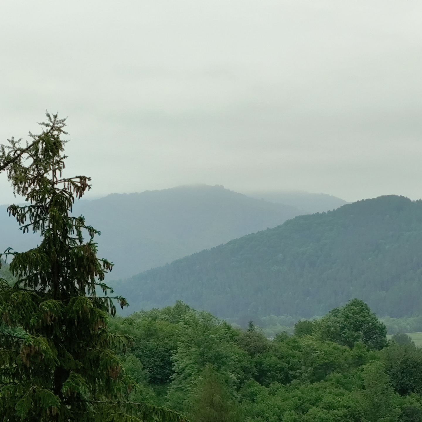 Pieniny witają nieco pochmurnie i deszczowo ale czas przez…