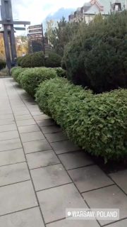 Błogosławiony Jerzy Popiełuszko - módl się za nami 🔥